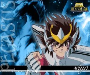 Pegasus Seiya puzzle