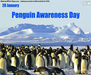 Penguin Awareness Day puzzle