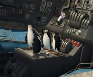 Penguins repaired an old crashed plane puzzle