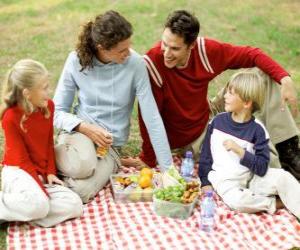 Picnic in the countryside to enjoy nature and food puzzle