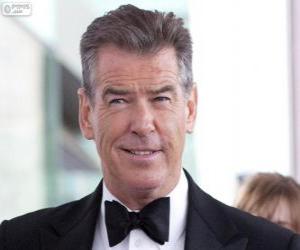 Pierce Brosnan puzzle