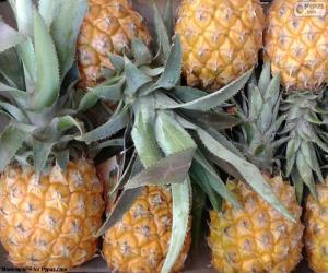 Pineapples puzzle
