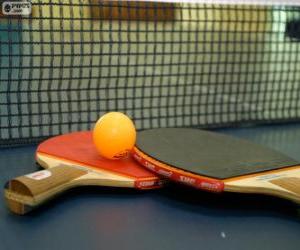 Ping-pong rackets and ball puzzle