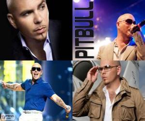 Pitbull (Armando Christian Perez), is a music producer of Cuban descent puzzle