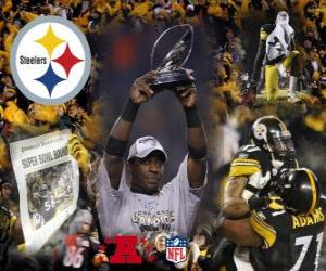 Pittsburgh Steelers AFC champion 2010-11 puzzle