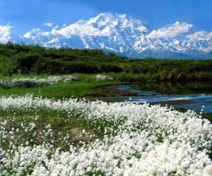 Plain with vegetation and the mountains to the bottom puzzle