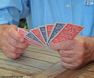 Playing cards puzzle