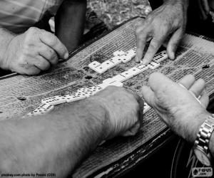 Playing dominoes puzzle