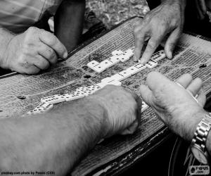 Playing dominoes puzzle