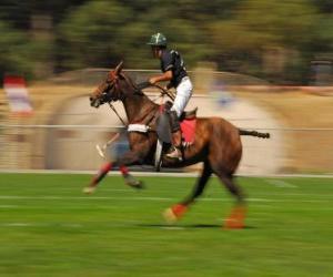 Polo player playing a game puzzle