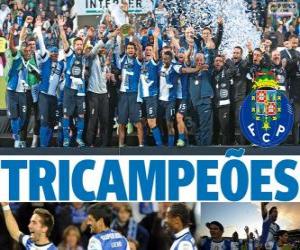 Porto, Portugal Football League 2012-2013 champion, National First Division puzzle