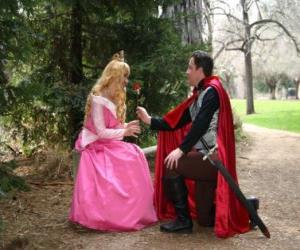 Prince kneeling before the princess gives a rose puzzle