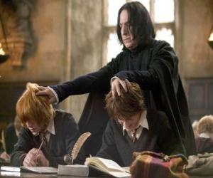 Professor Severus Snape, by studying and Harry Potter Ron Weasley puzzle