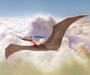 Pterodactyl flying puzzle