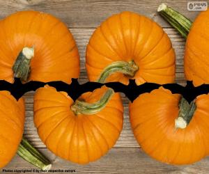 Pumpkins for Halloween puzzle