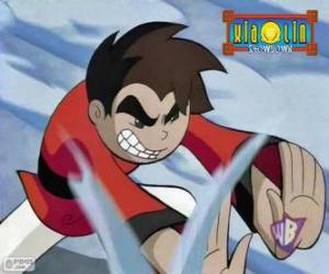 Raimundo Pedrosa, the Xiaolin Dragon of the Wind comes from Brazil puzzle