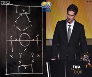 Ralf Kellermann, FIFA 2014 puzzle