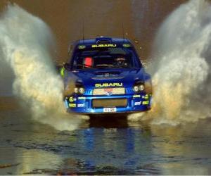 Rallying WRC - Passing water  puzzle