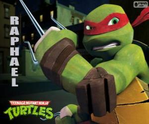 Raphael, the more aggressive ninja turtle with his arms in hand, a pair of Sai, a three-pronged dagger puzzle