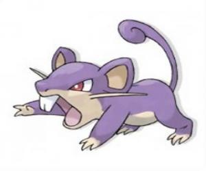 Rattata - Pokémon Normal type, quick attacking rat puzzle