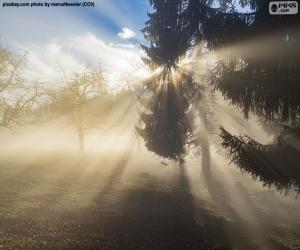 Rays of Sun puzzle