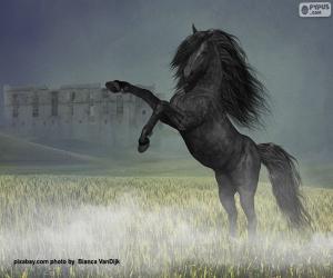 Reared black horse puzzle