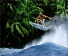 Surfer surfing in front of the coast