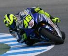 Grand Prix motorcycle racing - MotoGP with pilot