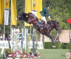 Equestrianism - Horse and rider in the jumping exercise