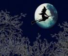 Wicked witch or evil witch in her magic broom flying toward the castle on a full moon night
