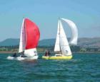 Sailing - Two sailboats sailing