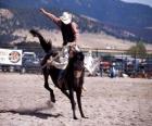 Rodeo - Rider in the saddle bronc competition, riding a wild horse