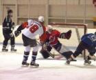 Players and a goalie in an ice hockey match