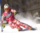 A skier in slalom competition