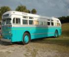 Antique bus