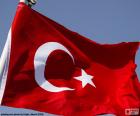 Flag of Turkey