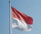 Indonesia flag on a flagpole, consisting of two strips of equal size, the upper is red and the lower white