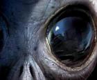 Eye alien
