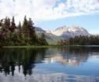 The calm waters of a lake