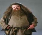 Rubeus Hagrid, a half-giant who is the Keeper of Keys and Grounds of Hogwarts