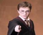 Harry Potter with his magic wand