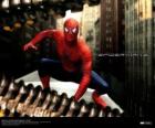 Spiderman squatting