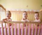 Three babies in a crib