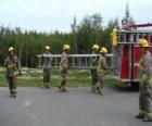 Firefighters carrying a ladder