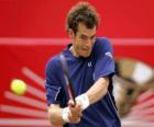 Andy Murray ready for a coup