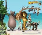Gloria the Hippo, Melman the giraffe, Alex the lion, Marty the zebra with other protagonists of the adventures