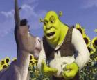 Shrek, the ogre, with his friend Donkey