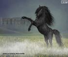 Reared black horse