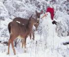 Two deer next to a snowman