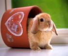 Bunny coming out of a cup of mud